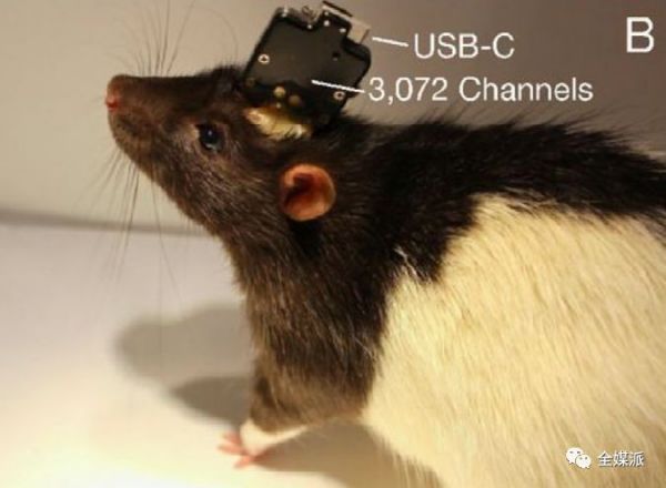 内容行业2020:创造惊喜或加剧迷茫?九大关键定位未来