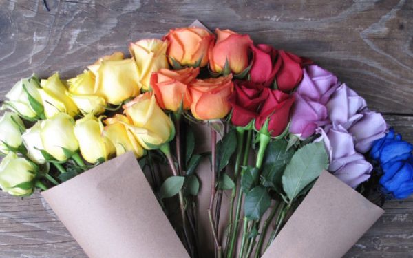 The Bouqs再融3000万美元,成为鲜花配送领域最吸金公司