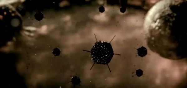 病毒vs细胞:一场持续40亿年的战争