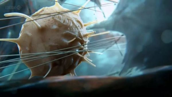 病毒vs细胞:一场持续40亿年的战争