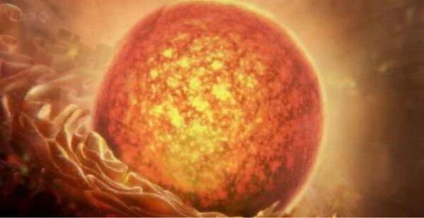 病毒vs细胞:一场持续40亿年的战争