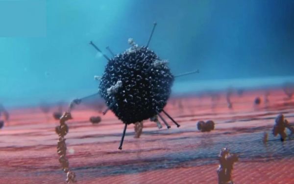 病毒vs细胞:一场持续40亿年的战争