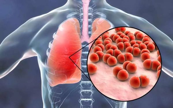 病毒vs细胞:一场持续40亿年的战争