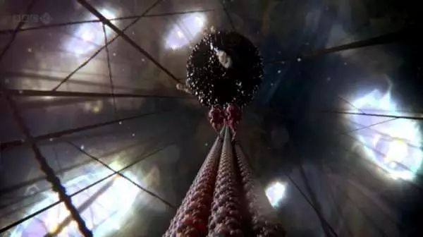 病毒vs细胞:一场持续40亿年的战争