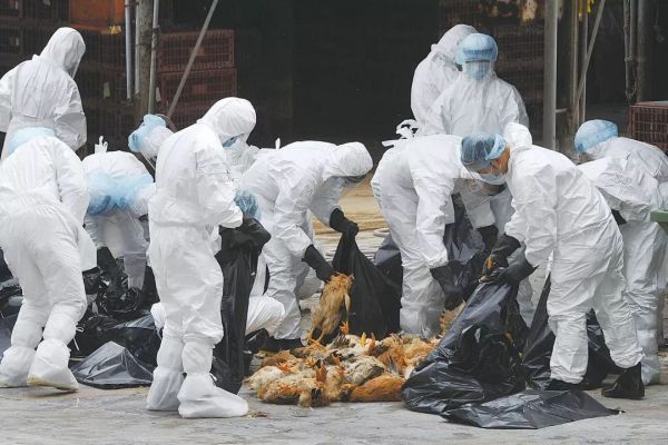 病毒vs细胞:一场持续40亿年的战争