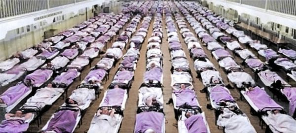 病毒vs细胞:一场持续40亿年的战争