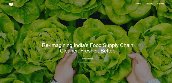 专注于农产品供应链管理领域,印度农产品分销商「WayCool」完成3200万美元C轮融资
