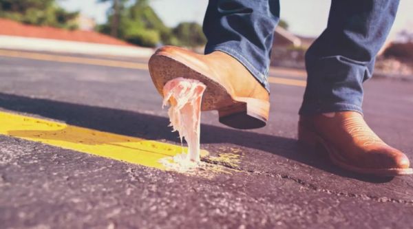 新潮张继学:活下去,就是最大贡献