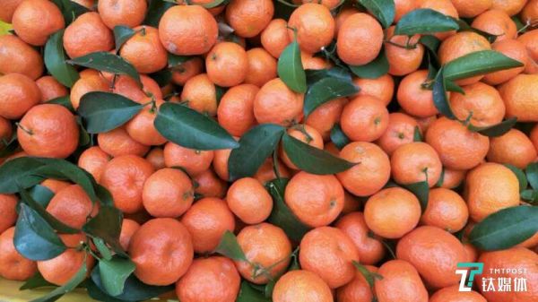 因疫情影响，当地&ldquo;黄金果&rdquo;变成了&ldquo;滞销品&rdquo;。
