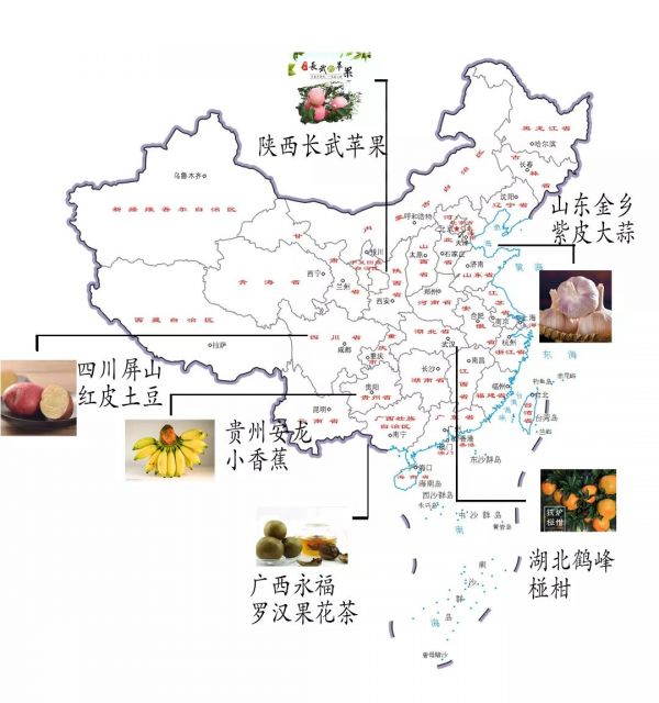 疫情下，中国贫困乡村农产品求生路