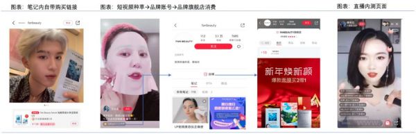直播电商战疫手册