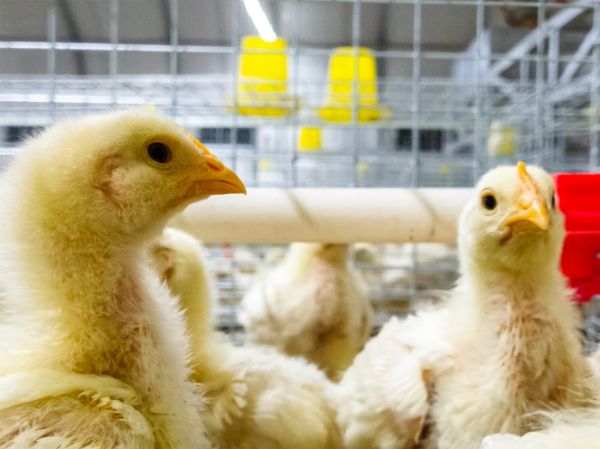 图片来源@全景视觉