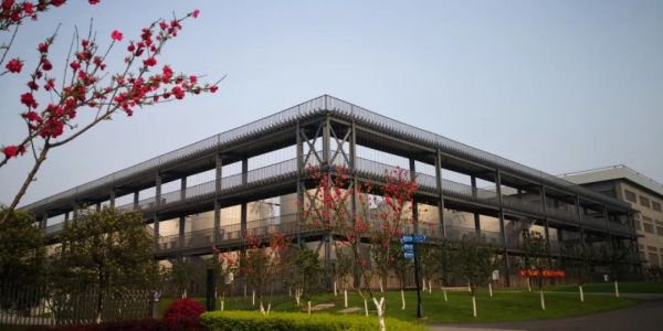 江小白创始人:中国商业的反脆弱思考