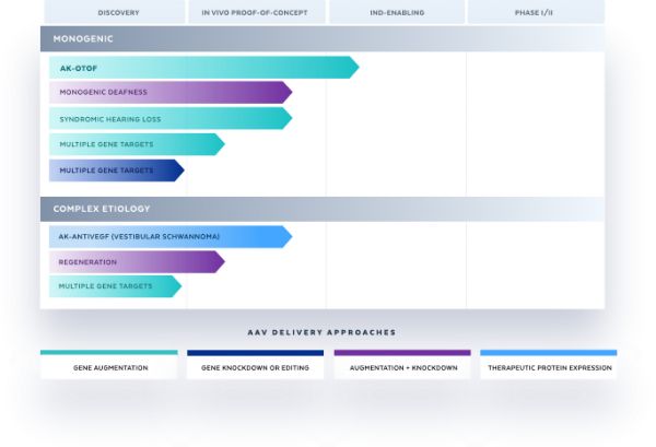 瞄准听力损失研发基因疗法 ，Akouos获1亿美元B轮融资