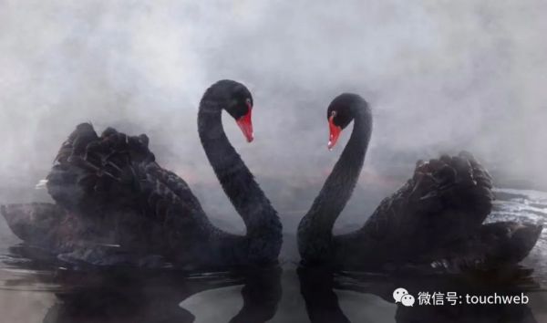 红杉给美国被投公司信:做好迎接动荡准备,关注好现金流