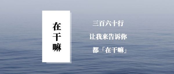 VC工具人的自白