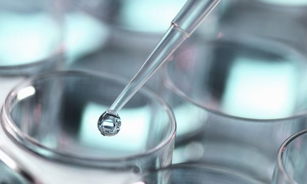 用“特洛伊木马”欺骗癌细胞,以色列医疗创新公司「Biosight」获 1900 万美元融资