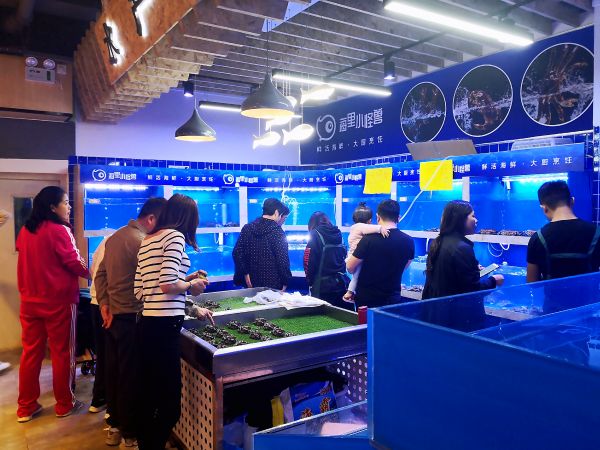 活鲜直送家门口,「海里小怪兽」要做内陆居民的海鲜便利店