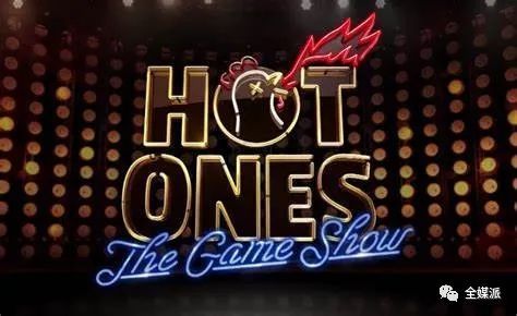 国内老生常谈的垂直媒体,在国外是什么情况?