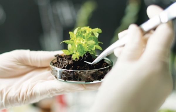 用创新制品改善农作物产量，美国初创公司「Plant Health Care」获 230 万美元融资