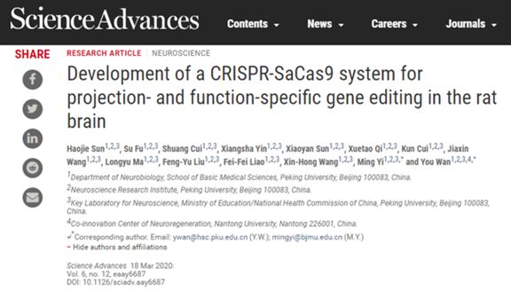 北大团队成功实现精准删除特定记忆,马斯克脑机接口有望今年人体测试