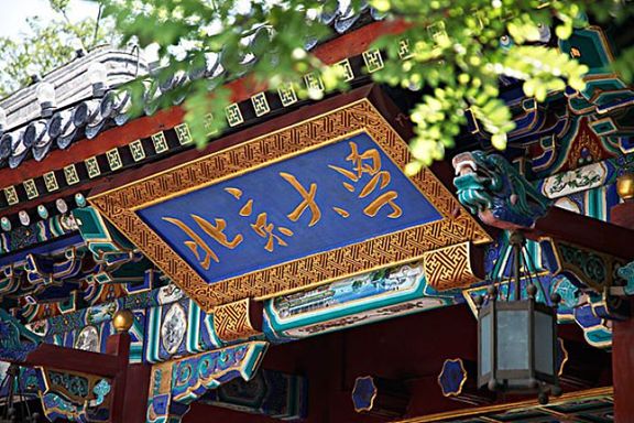 北大团队成功实现精准删除特定记忆,马斯克脑机接口有望今年人体测试