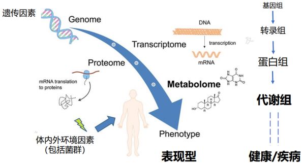 36氪首发 | 基于代谢组学做肿瘤早筛,「中精普康」获数千万元Pre-A轮融资