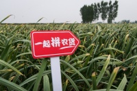 市县长直播卖农产品，拼多多推进农资下行