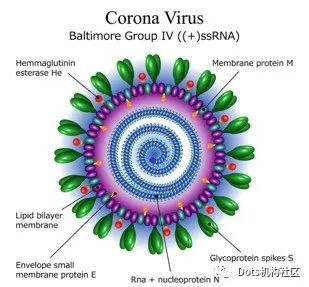 谁会成为新冠杀手？