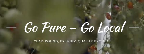 在沙漠中使用“大棚”种菜？阿联酋农业技术公司「Pure Harvest」获 1 亿美元融资