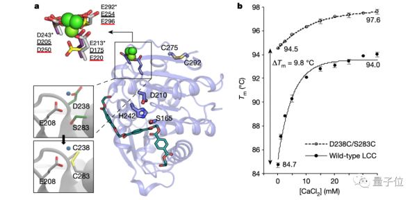 Nature封面:这种新的酶,10小时就能“吃掉”塑料瓶,分解率高达90%,还很便宜