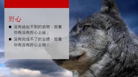 华尔街蠢狼做空爱奇艺,不管跟谁学都没有好未来