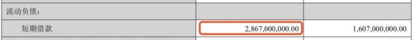 中公教育短期借款余额(2019年年报)