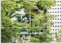 热爱人，追求自由：《茑屋经营哲学》读书笔记