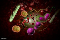 36氪首发 | 临床微生物精准诊断成新风口，「迅敏康」获数千万元A轮融资