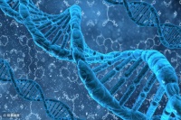 人体“垃圾DNA”究竟有何妙用？ROME Therapeutics获5000万美元A轮融资