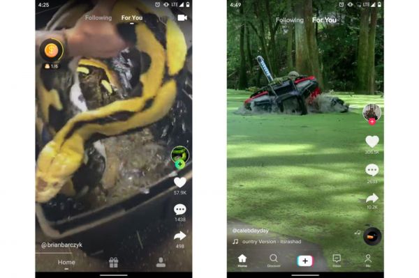 左Zynn界面，右TikTok界面