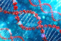 36氪首发 | 从基因捕获技术到NGS临床应用，「联川生物」获1.15亿元B轮融资