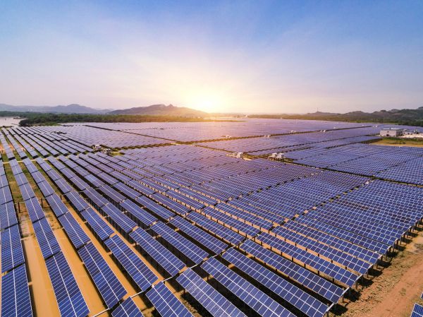 图片来源@视觉中国