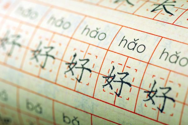 图片来源@视觉中国