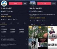 在线旅游的2020：洗牌重组、直播自救、跨界面敌