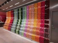 高瓴腾讯看上新风口：美妆游乐园火了，5000亿市场的下一个泡泡玛特？