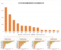 艰险 2020，中国公司的「新生」与「死亡」图鉴