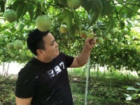 返乡的年轻人，收入真的超过北上广了吗？