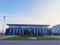 苏宁跌进多元化陷阱：恒大200亿只是“最后一根稻草”