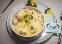 36氪首发 | 微生物发酵海鲜「New Singularity」完成数百万种子轮融资，成本有望低于真海鲜