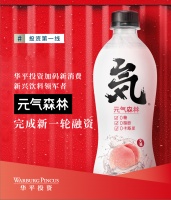 华平投资加码新消费，新兴饮料领军者元气森林完成新一轮融资