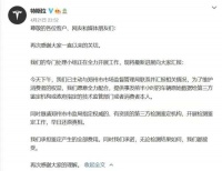 车主亲述：风暴中的特斯拉，与10万个争议的“真相”