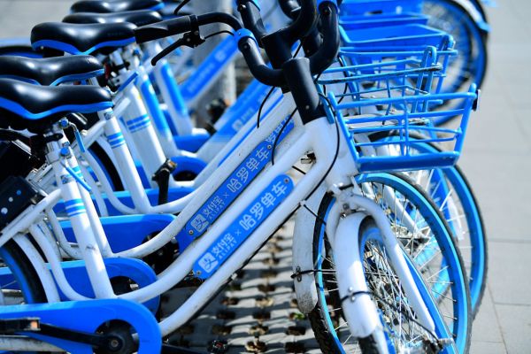 图片来源@视觉中国