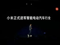 年轻人的第一辆车：造起来有点难